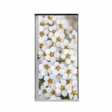 Door Wrap 80 cm Bílé květiny Spirea