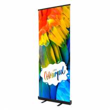 Roll Up banner Economy