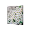 Textilná dekorácia na stenu 40 x 40 Biele kvety Spirea - 0