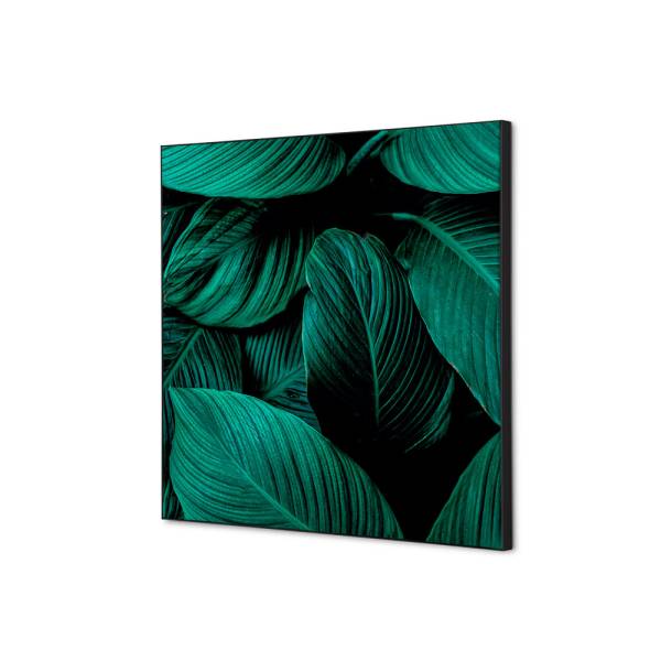 Textilná dekorácia na stenu 40 x 40 Listy rastlín Zelená