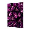 Textilná dekorácia na stenu 40 x 40 Cactus purpurová - 7